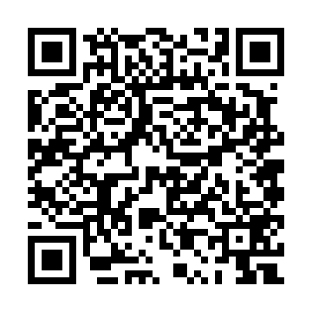 QR code for PP64594