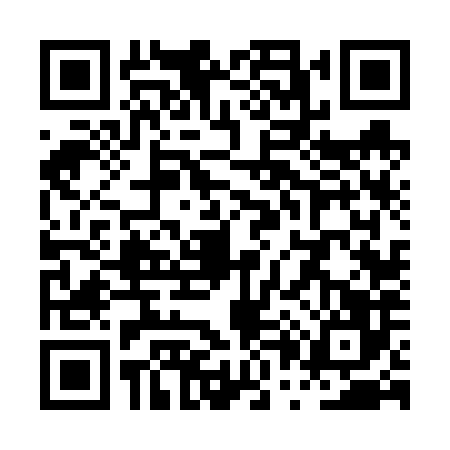 QR code for PP66869