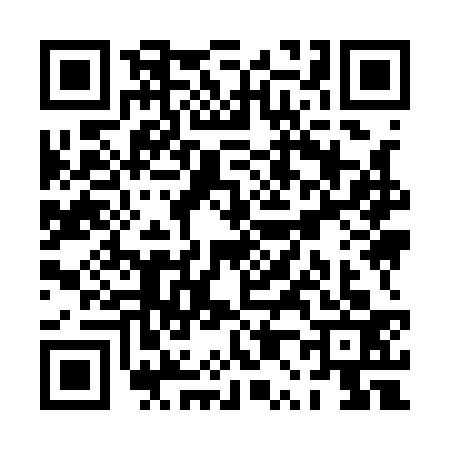 QR code for PP91330