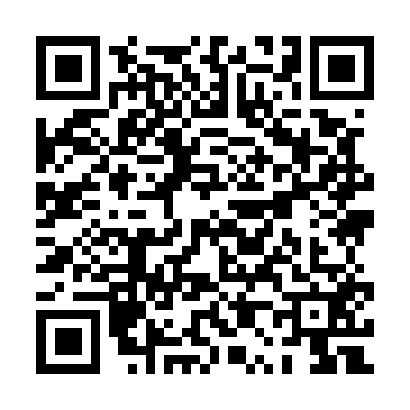 QR code for PP95523