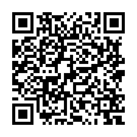 QR code for PP98667