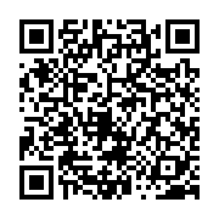 QR code for PQ13299