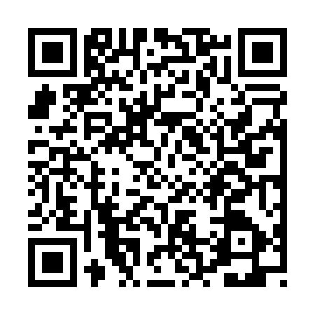 QR code for PR60575