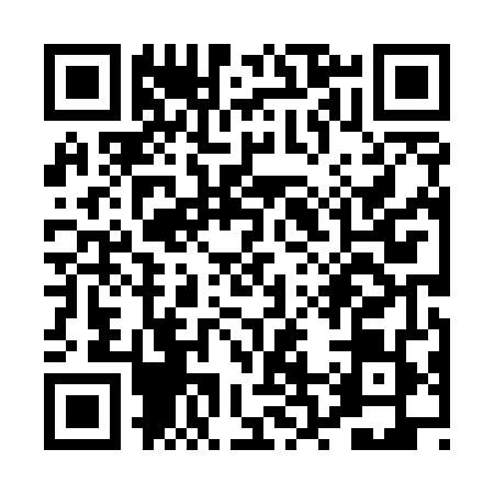 QR code for PR85495