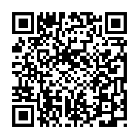 QR code for PR98491