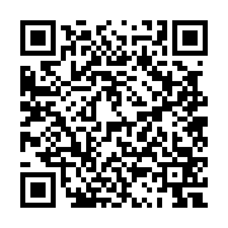 QR code for PS20638