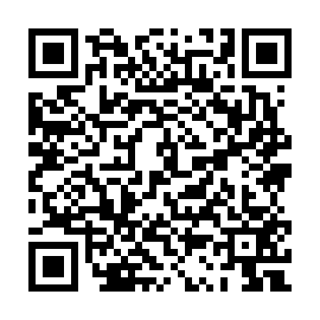 QR code for PS96535