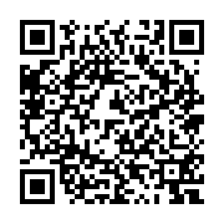 QR code for PT12501