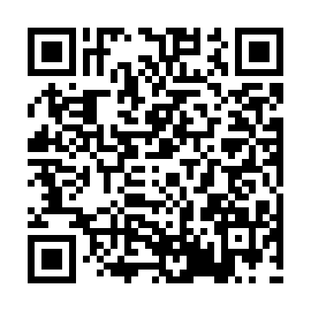 QR code for PT17111