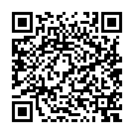 QR code for PT29101