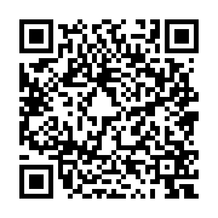 QR code for PT87667