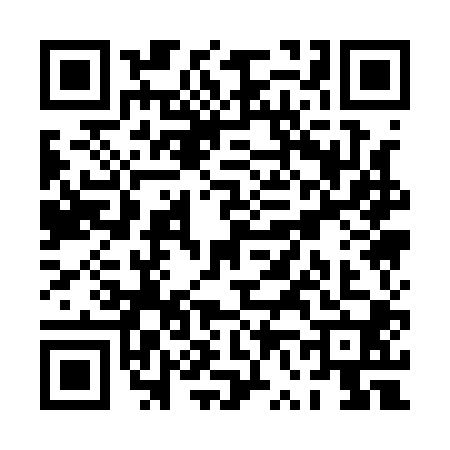 QR code for PV11005