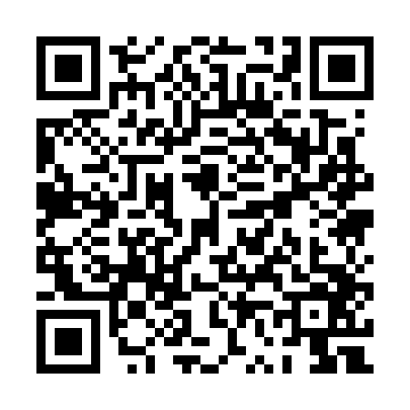 QR code for PV17465
