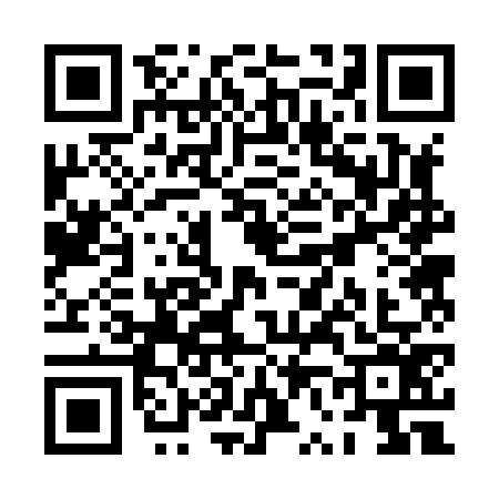 QR code for PV28765