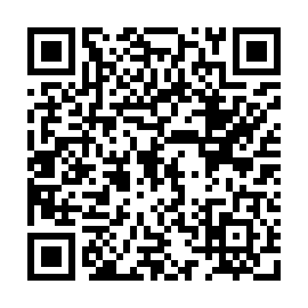 QR code for PV29029