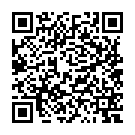 QR code for PV29616