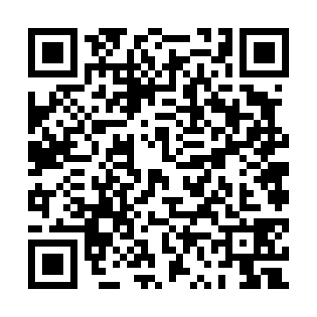 QR code for PV64383