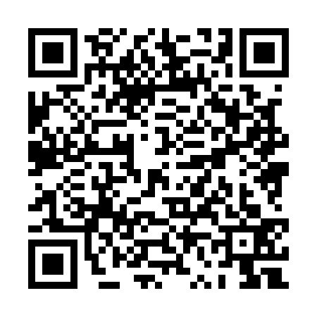 QR code for PV81339