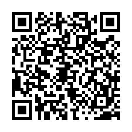 QR code for PV85565