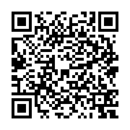 QR code for PV96331