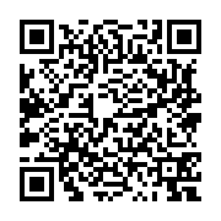QR code for PV98705