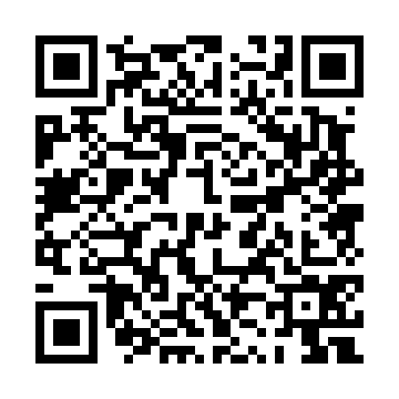 QR code for PZ04745
