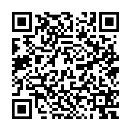QR code for PZ17241