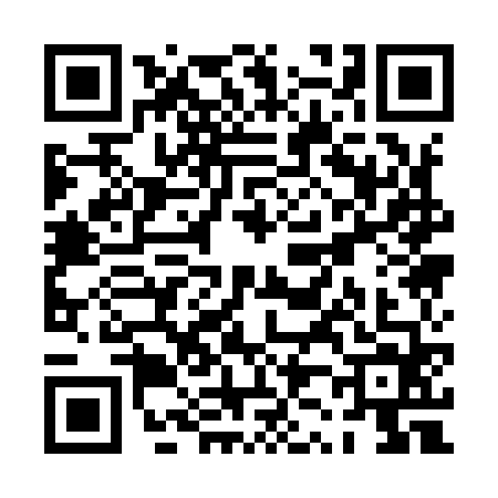 QR code for PZ19646