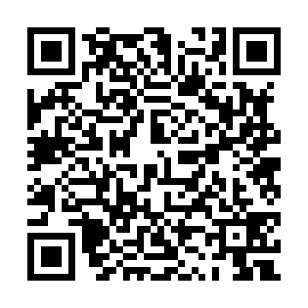 QR code for PZ28397