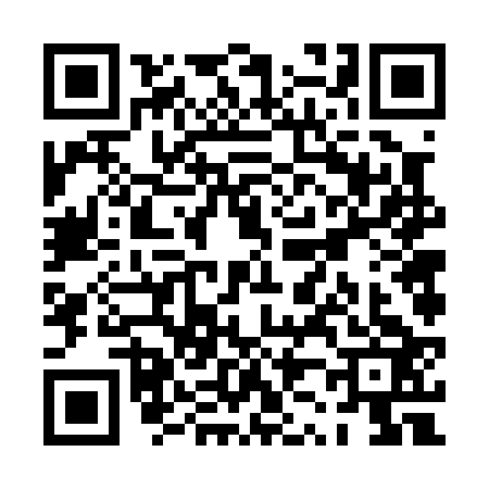 QR code for PZ60234