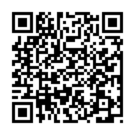 QR code for PZ78313