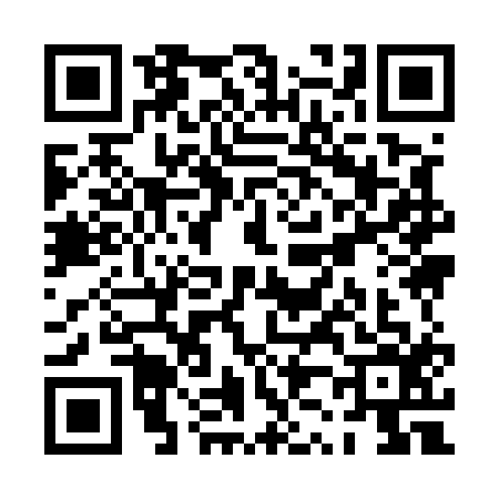 QR code for PZ95161