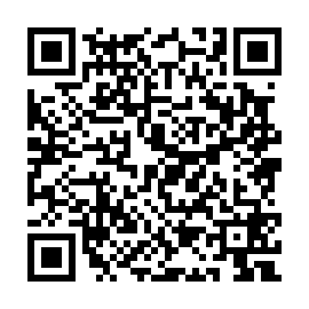 QR code for QA80687