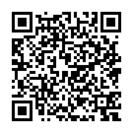 QR code for QA81303