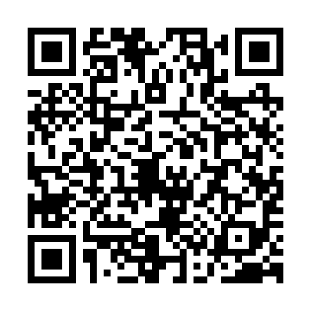 QR code for QC12991
