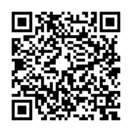 QR code for QC19336