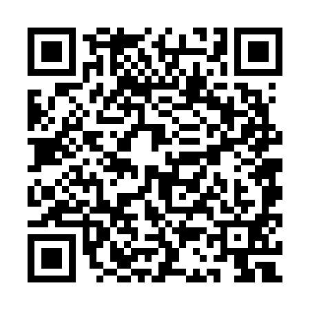 QR code for QC66919