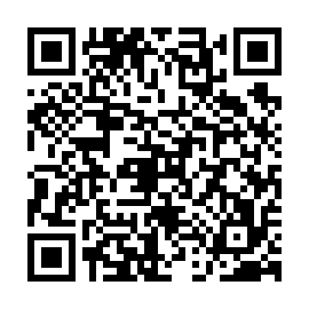 QR code for QD56166