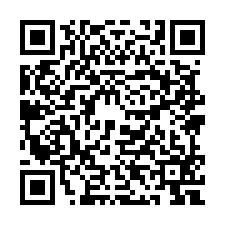QR code for QD95969