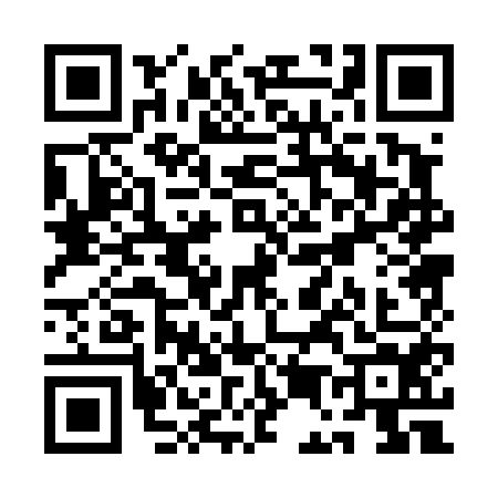 QR code for QE04541