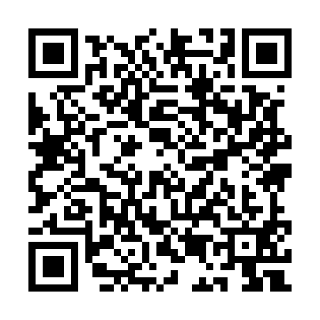 QR code for QE95917