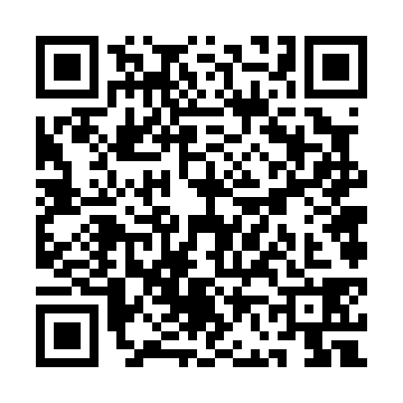 QR code for QF60383