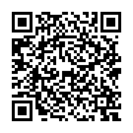 QR code for QF95272
