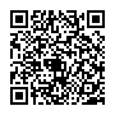 QR code for QG81386