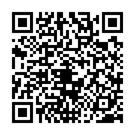 QR code for QG87017