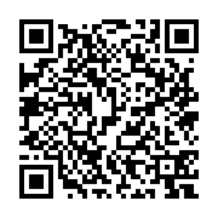 QR code for QH11306