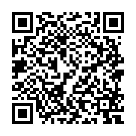 QR code for QH96869