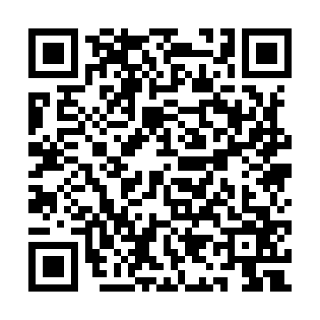 QR code for QI19666