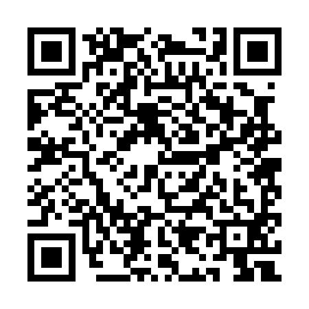 QR code for QI20920