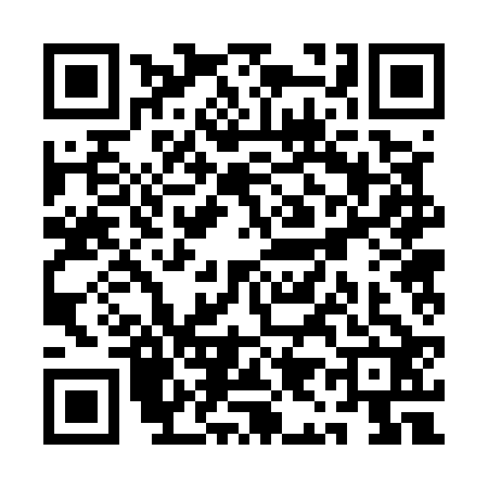 QR code for QI25229